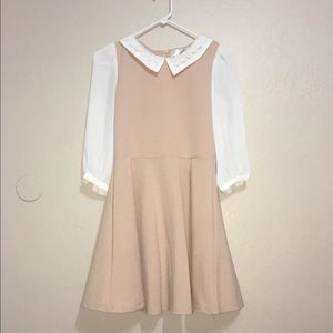 Lace collared 3/4 sleeve dress